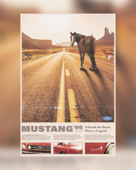 Mustang Mustang